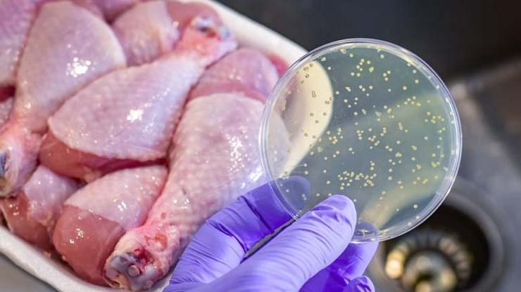 Et, Tavuk ve Yumurta İçeren Gıdalara Dikkat Öldüren Kumpir Olayında Ortaya Çıkan Salmonella Bakterisine Karşı Uyarı