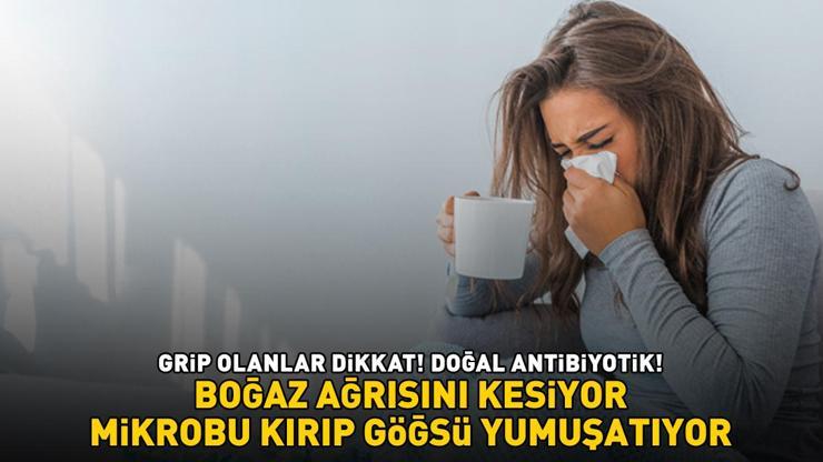 DOĞAL ANTİBİYOTİK Grip olanların imdadına yetişiyor: Göğsü pamuk gibi yumuşatıyor, boğaz ağrısını şak diye kesiyor