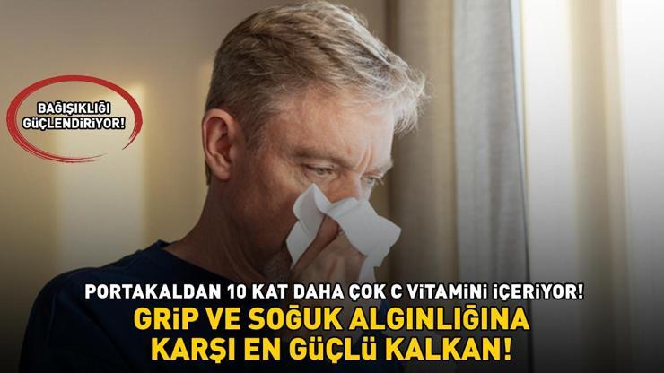 Grip ve soğuk algınlığına karşı en güçlü kalkan Bağışıklığı güçlendiriyor: PORTAKALDAN 10 KAT DAHA ÇOK C VİTAMİNİ İÇERİYOR