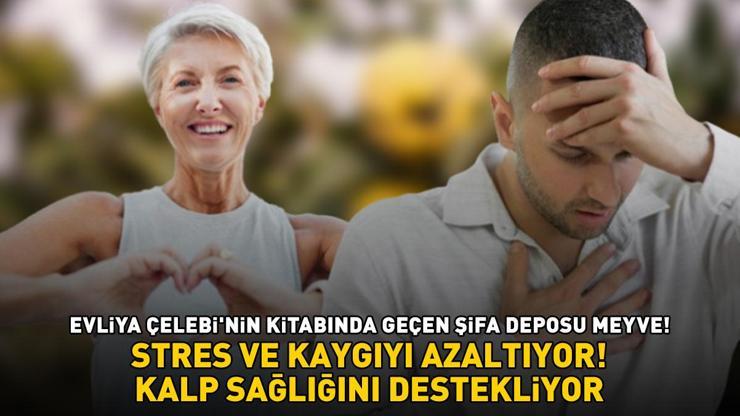 Evliya Çelebinin kitabında geçen şifa deposu meyve Stres ve kaygıyı azaltıyor, kan şekerini dengeleyip kalp sağlığını destekliyor