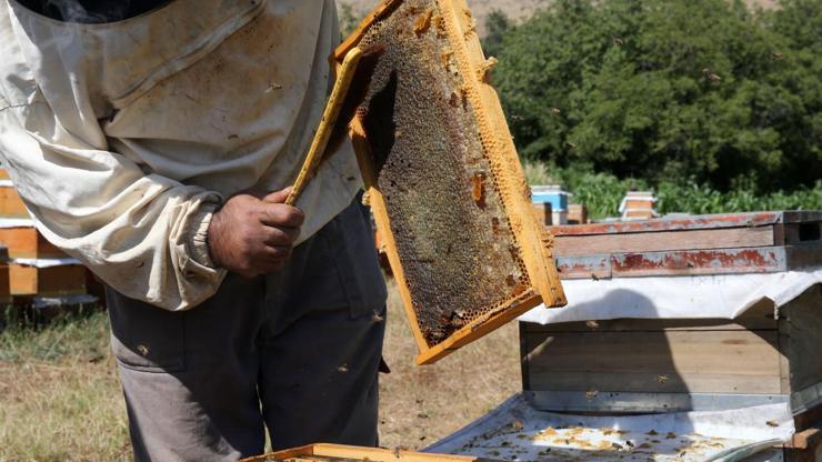 Bitlis balı coğrafi işaret tescil belgesi aldı