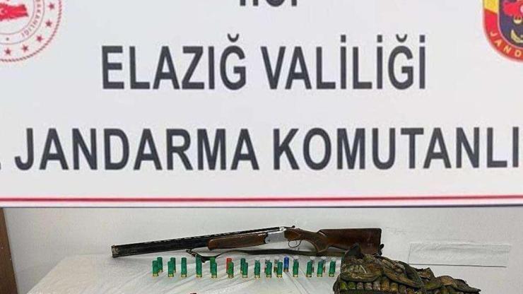 Elazığ’da dağ keçisini avlayan kişiye 666 bin lira ceza kesildi