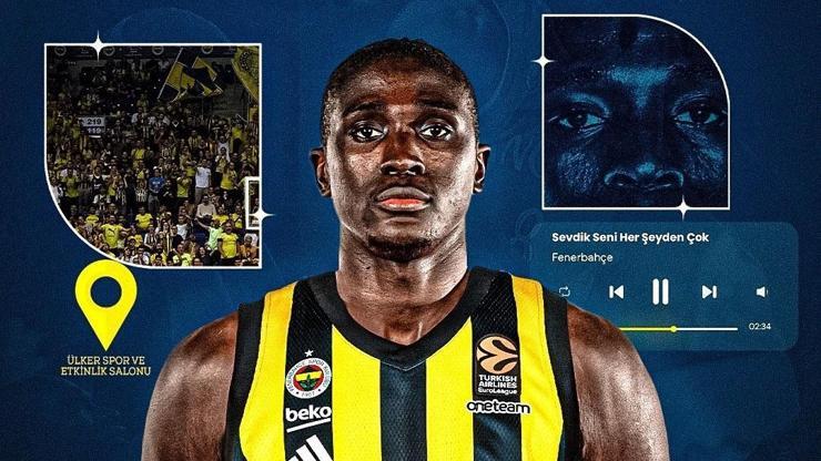 Fenerbahçe Bekodan pivot takviyesi