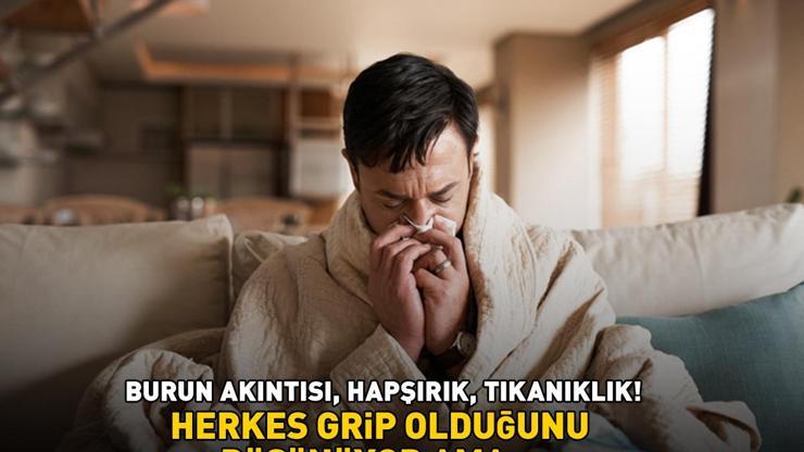 Bu Belirtilerle Ortaya Çıkıyor Burun Akıntısı, Hapşırık, Tıkanıklık Herkes Grip Olduğunu Sanıyor Ama...