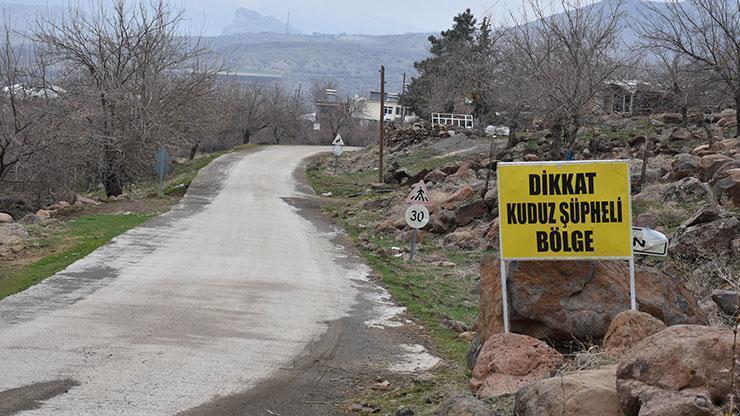 Bir ilçede kuduz alarmı Kadının burnunu kopardı