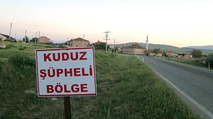 İlçede kuduz alarmı verildi: Mahallelerde karantina başlatıldı