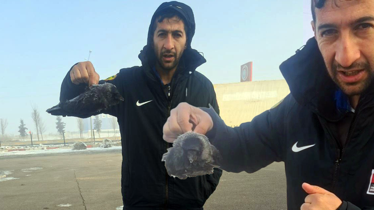 Hava sıcaklığı eksi 30a kadar düştü: Karga soğuktan dondu