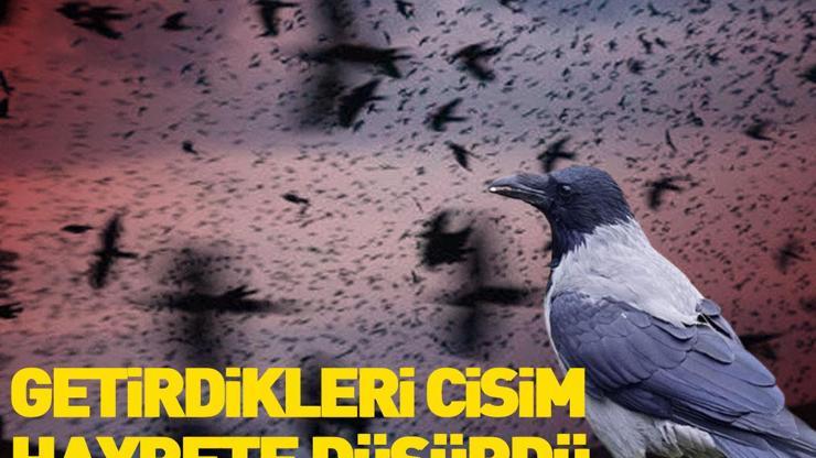 Kargaların gizemi Üniversite öğrencileri fark etti: Uzay kökenli cisim...