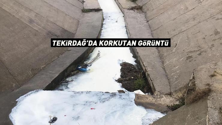 Tekirdağda korkutan görüntü Vatandaşlar ihbar etti, ekipler harekete geçti