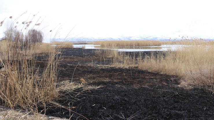 Onlarca kuş türüne ev sahipliği yapan Dilkaya Sazlığı’nda yangın