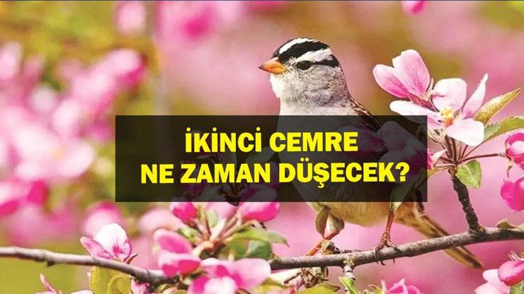 Cemre Ne Zaman Düşer 2025 İkinci Cemre Düştü Mü ikinci Cemre Ne Zaman Düşecek