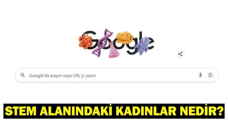 STEM Alanındaki Kadınlar Nedir, Ne Demek 2025 Dünya Kadınlar Günü İçin Googledan Özel Doodle