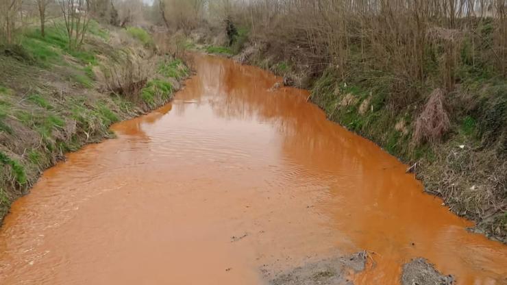 Derenin rengi kırmızıya döndü