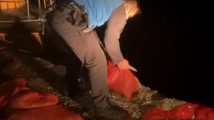 Kaçak midye avcılığına 37 bin lira ceza Kaçak midye avcılığına 37 bin lira ceza