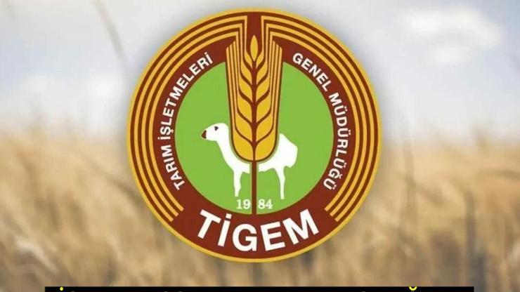TİGEM PERSONEL ALIMI KADRO VE KONTENJAN DAĞILIMI: TİGEM işçi alımı başvurusu ne zaman, nasıl yapılır