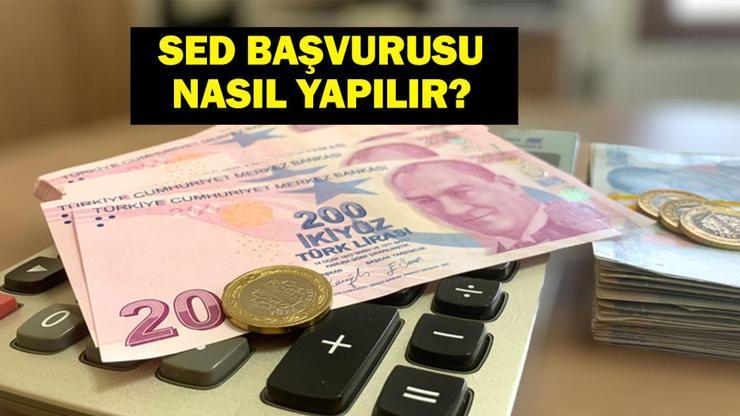 SED YARDIMI 2025: SED Ödemeleri Hesaplara Yattı Bakan Mahinur Özdemir Göktaş Açıkladı İşte Sosyal ve Ekonomik Destek Ödemeleri Sorgulama Ekranı
