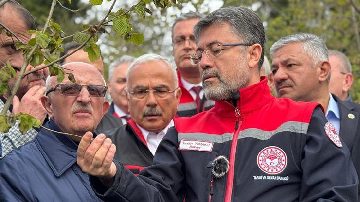 Bakan Yumaklıdan don gören ağaçlara budama uyarısı