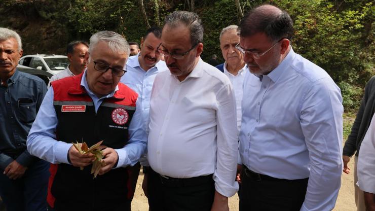 Kasapoğlu’ndan zirai don mesajı: Zor günde de emekçimizin yanındayız, çiftçimizin hasar masrafları karşılanacak