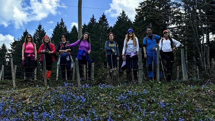 Mavi Yıldız Çiçeklerinin Açtığı Yaylada Yürüyüş
