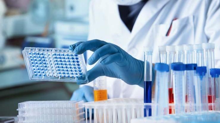 Yeni kan testi, Alzheimer riskini önceden tespit edebiliyor
