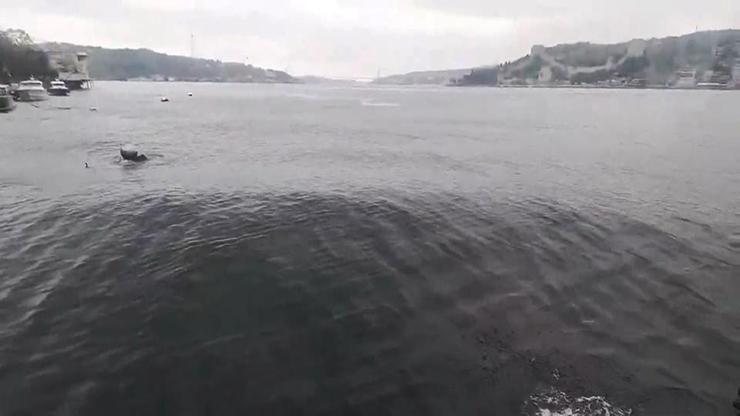 Deprem anında İstanbul Boğazında dalgalar oluştu