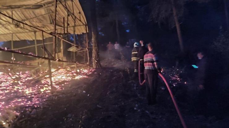 Hatay'da barakadaki yangın, ormana sıçramadan söndürüldü Hatay'da barakadaki yangın, ormana sıçramadan söndürüldü