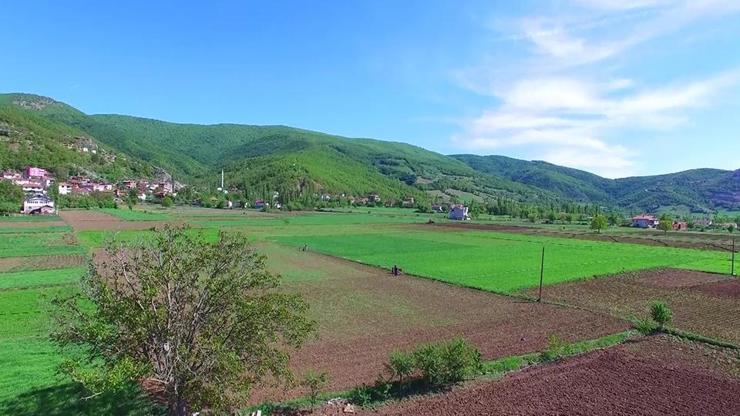 Kentsel Dönüşüm Başkanlığı müjdeyi verdi: 43 ilde 383 arsa açık artırmaya çıkacak