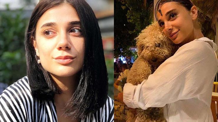 Pınar Gültekin davasında yeni gelişme: Canavarca his yok kararı