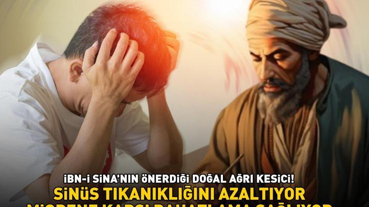 Migrene karşı rahatlama sağlıyor, sinüs tıkanıklığını azaltıyor İBN-İ SİNANIN TAVSİYE ETTİĞİ DOĞAL AĞRI KESİCİ