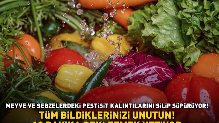 Tüm bildiklerinizi unutun Meyve ve sebzelerdeki pestisit kalıntılarını silip süpürüyor 10 DAKİKA BEKLETMEK YETİYOR