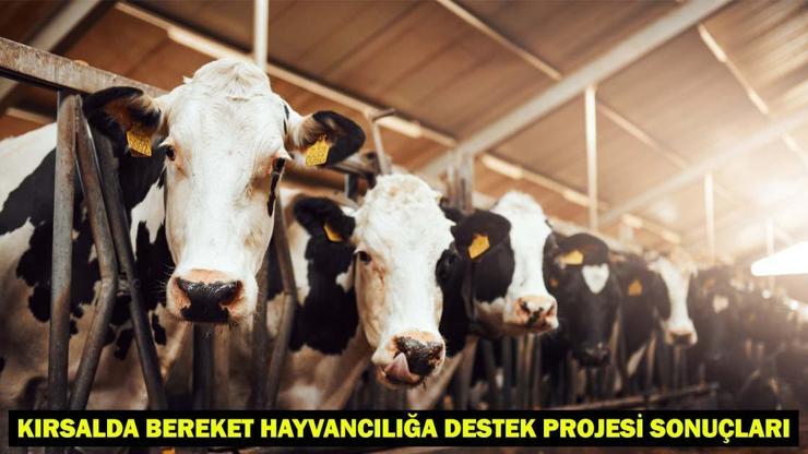 Kırsalda Bereket Hayvancılığa Destek Projesi Sonuçları: Tarım ve Orman Bakanlığı Basvuru Sonucu Nasıl, Nereden Sorgulanır