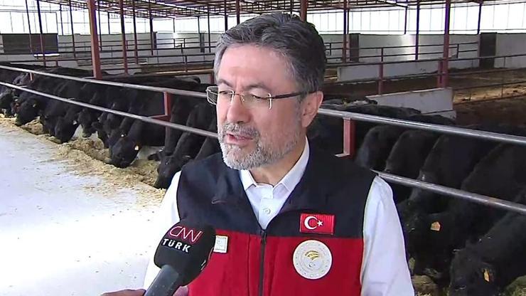 Kırsalda Bereket Hayvancılığa Destek projesinin detayları