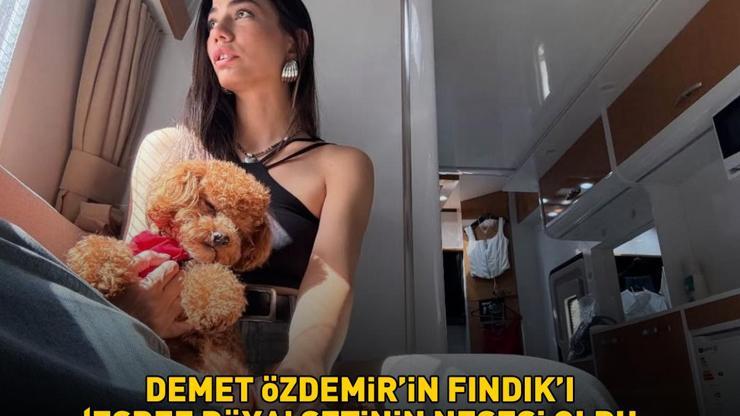 Demet Özdemirin Fındıkı Eşref Rüya setinin neşesi oldu GÖREN BİR DAHA BAKTI