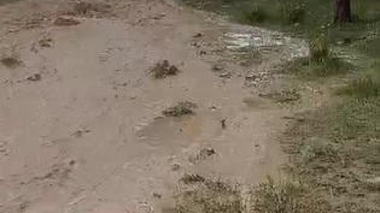 Kırşehir'de sağanak sele neden oldu; tarım arazileri zarar gördü Kırşehir'de sağanak sele neden oldu; tarım arazileri zarar gördü