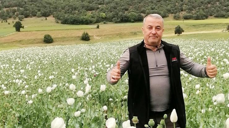 Afyonkarahisar'da haşhaş tarlaları beyaza büründü