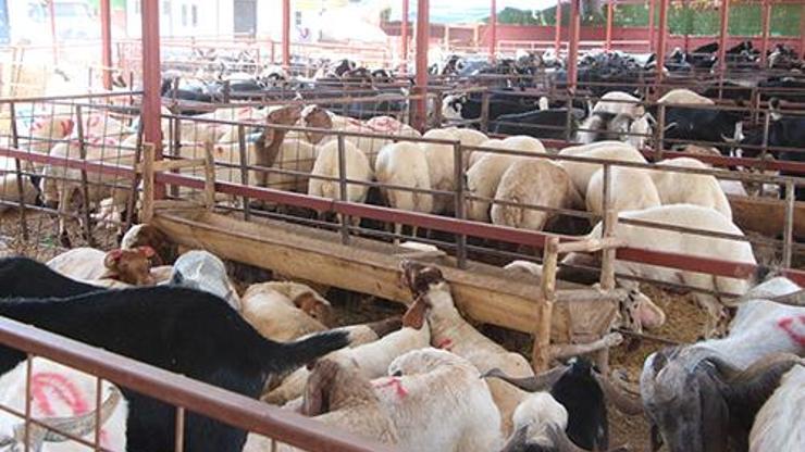 Uzman isim uyardı: Kurban etini serin ortamda dinlendirip, iç sıcaklığı 70 derece üzerinde pişirin