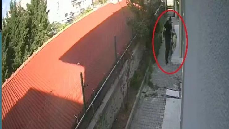 Cani doktorun kan donduran vahşeti: Hayvanlara cinsel istismar ve katliam | İğrenç detaylar ortaya çıktı
