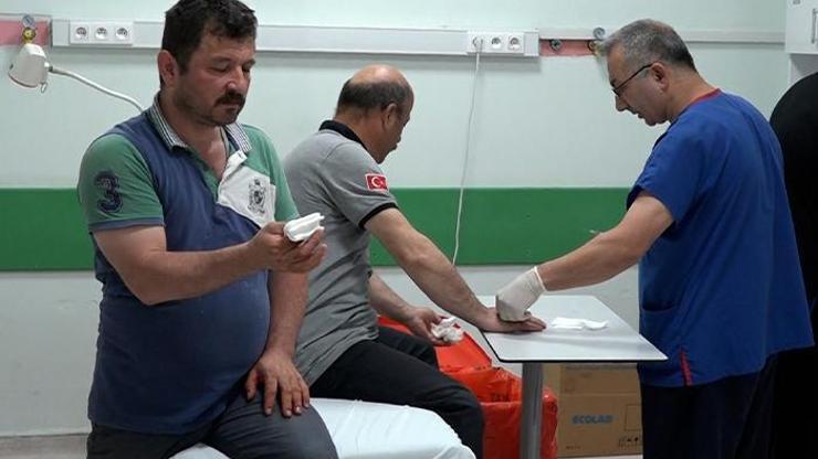 Klasikleşen bayram görüntüleri: Acemi kasaplar hastaneye koştu