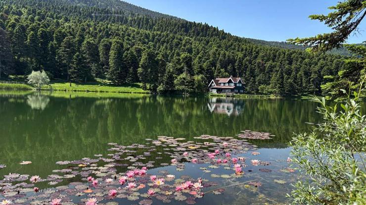 Gölcük Tabiat Parkı Tatilcilerin Akınına Uğradı: Doğası, Enerjisi Harika