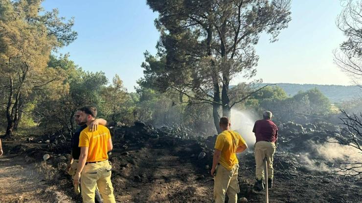 Mangal yaparken ormanı yakmış; tutuklandı Mangal yaparken ormanı yakmış; tutuklandı
