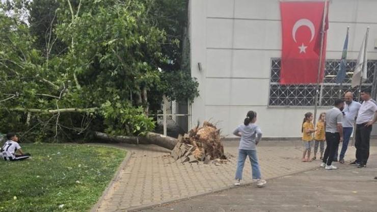 Gaziantepi Haziran ayında fırtına vurdu: Ağaçlar devrildi, toz bulutu şehri kapladı