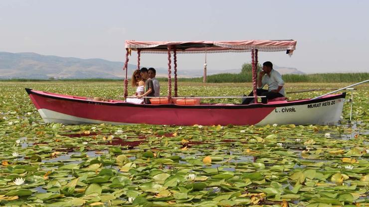 Denizliye Giden Uğramadan Dönmüyor Işıklı Gölü’nde Nilüfer Turizmi... Ziyaretçilerin İlgi Odağı Oldu