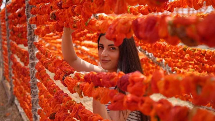 Binbir Emek ve Zahmetle Üretiliyor Geleneksel Yemeklerin Vazgeçilmezi... Sezon Başladı, Gaziantepin Yüksek Kesimleri Kırmızıya Büründü