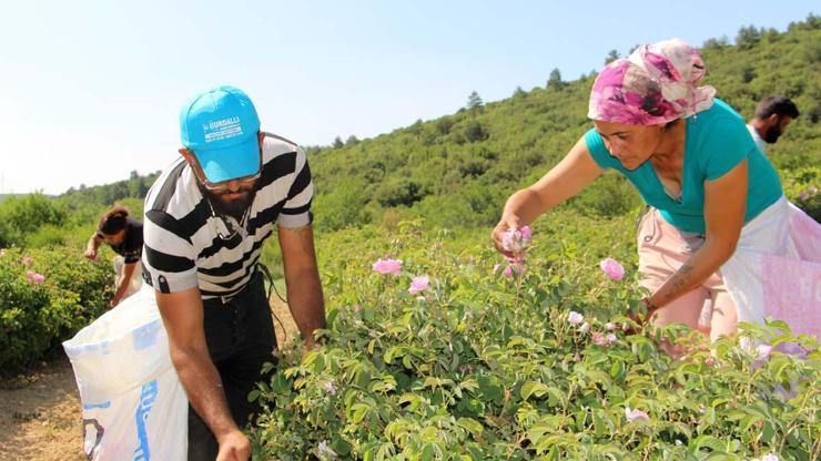 Türkiyenin Çiçek Kokulu Şehri Akın Akın Geliyorlar Tatilciler Fotoğraf Yarışına Girdi