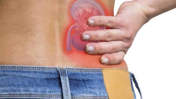 Yaz Aylarında Böbrek Hastaları İçin En Büyük Tehdit Bu Besinleri Aşırı Tüketmek Sağlığınızı Riske Atabilir