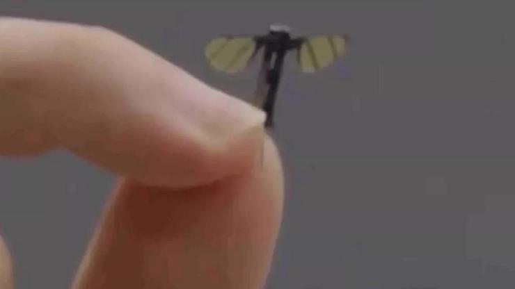 Sivrisinek değil, casus dron! Sivrisinek değil, casus dron!