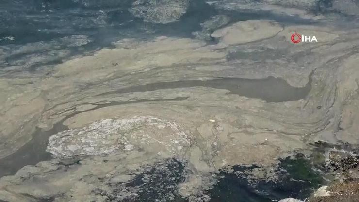 Deniz salyasıyla mücadelede son durum: Atık su tesisi yenilemeyen belediyelere ceza geliyor