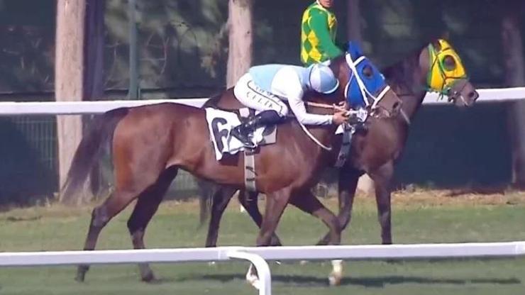 Ahmet Çelik Kaç Kez Gazi kazandı? Gazi koşusunu kazanan Cutha At sahibi Hulusi Çil kimdir? Ahmet Çelik Kaç Kez Gazi kazandı? Gazi koşusunu kazanan Cutha At sahibi Hulusi Çil kimdir?