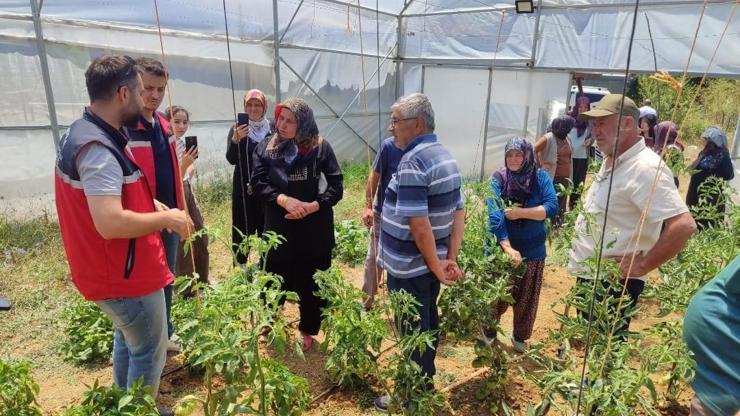 Kandıra’da örtüaltı sebze yetiştiriciliği eğitim çalışmaları devam ediyor