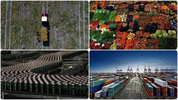Tarım ve gıda ihracatında yılın ilk 5 ayında sınırlı artış